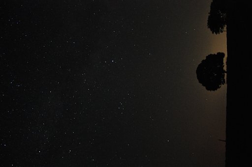 一本の木と星空