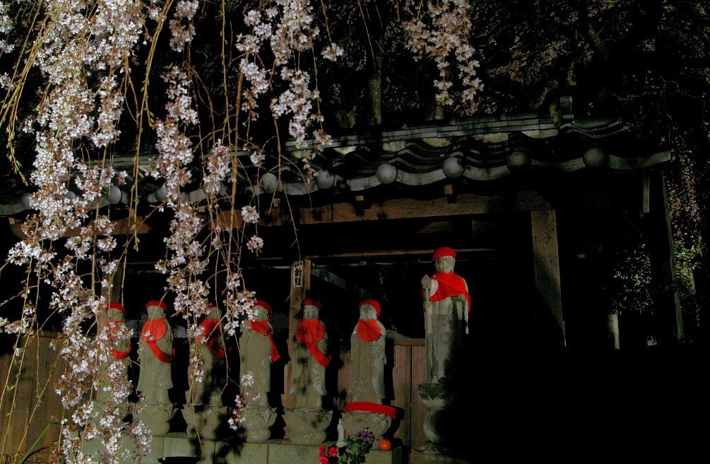 【12392】地蔵と夜桜（レタッチ）