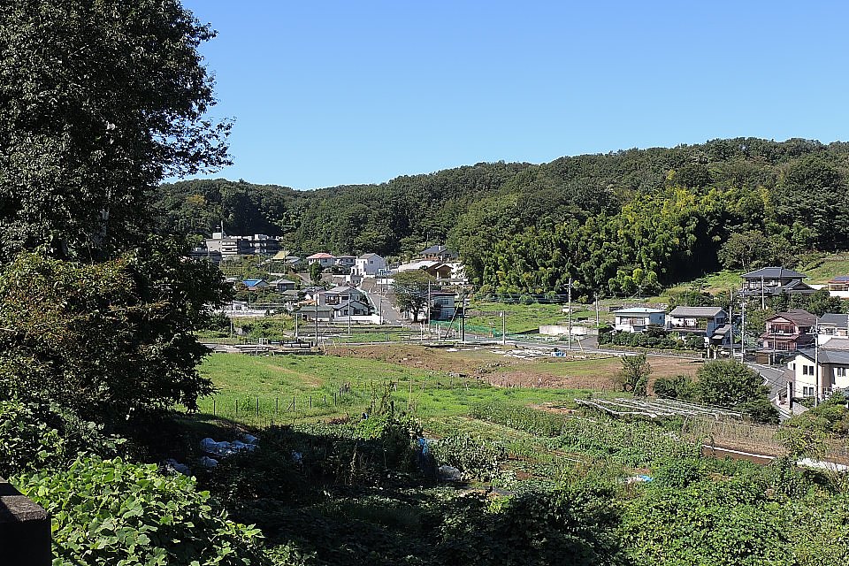 散歩道の風景