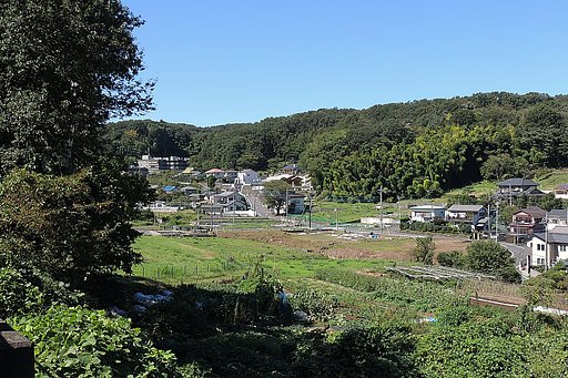 散歩道の風景