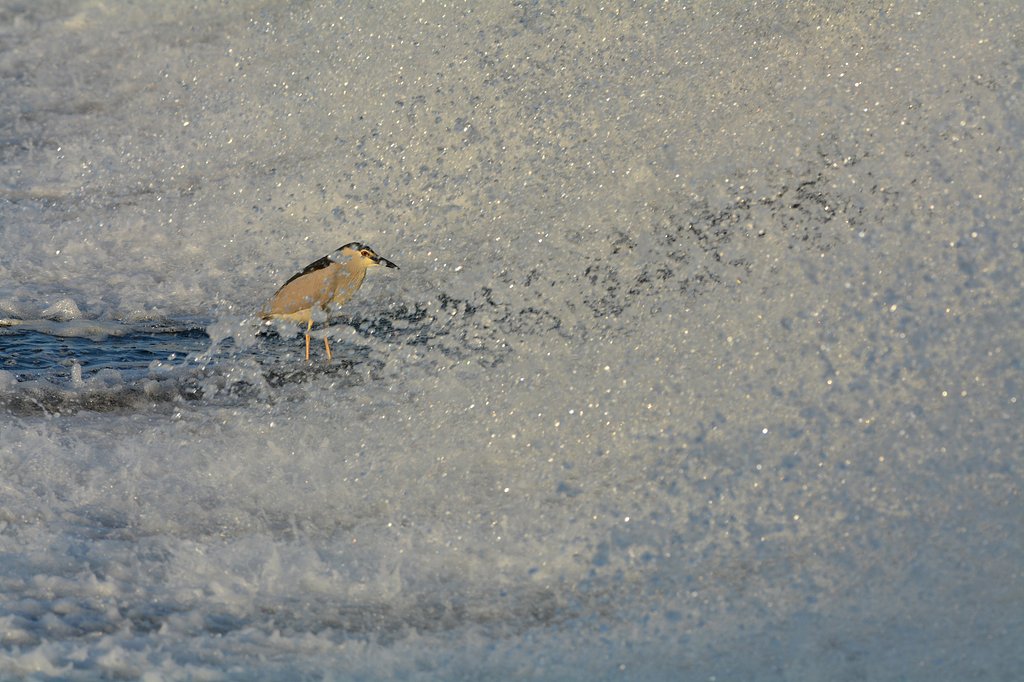 水飛沫の中で