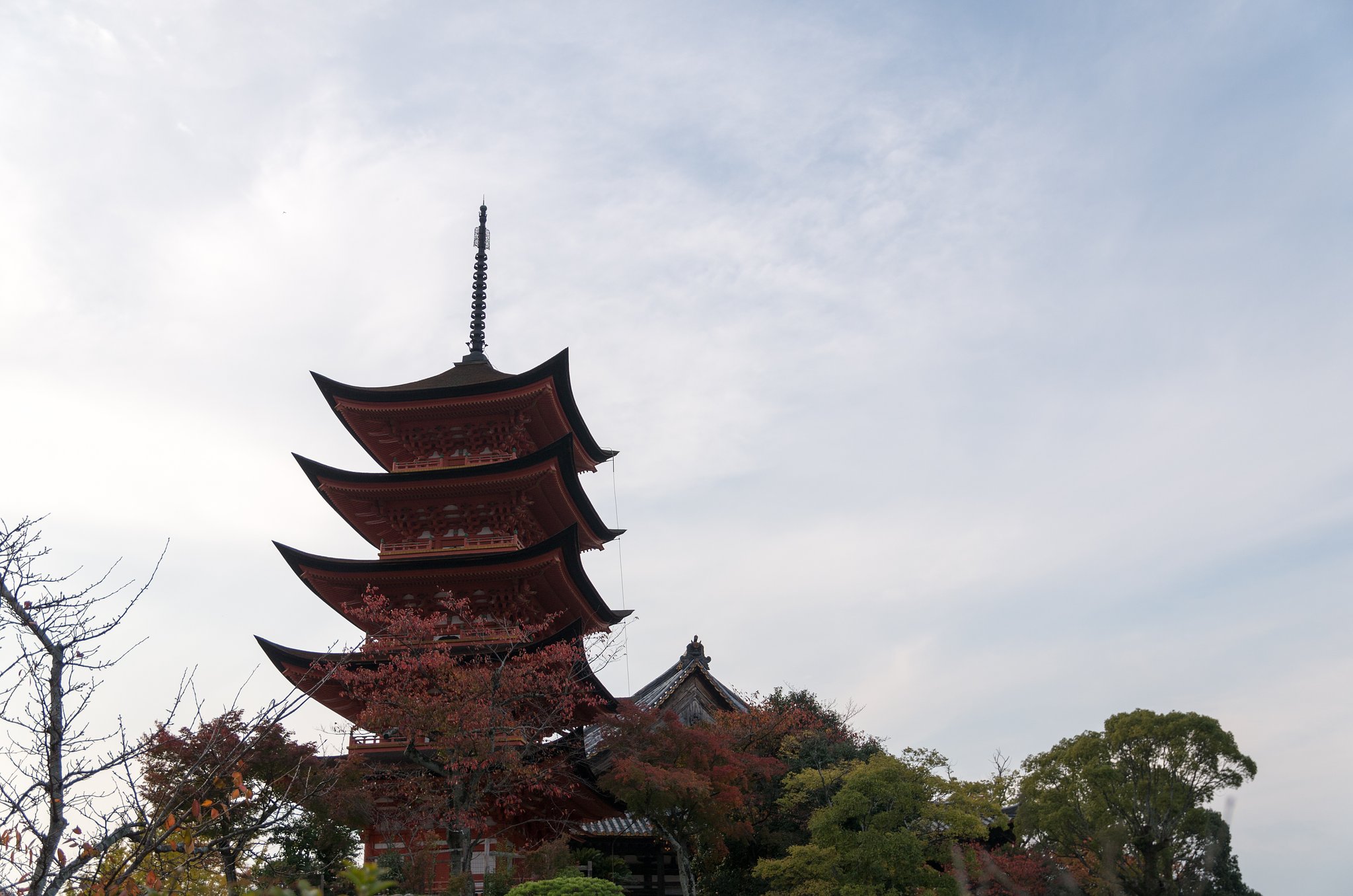 宮島４６