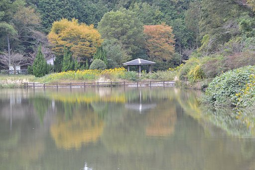 淡い秋色