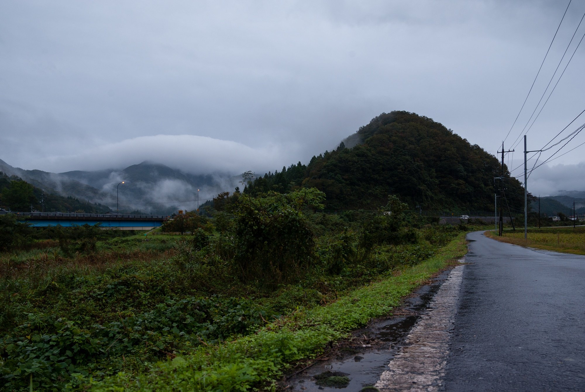 雨降りの朝。