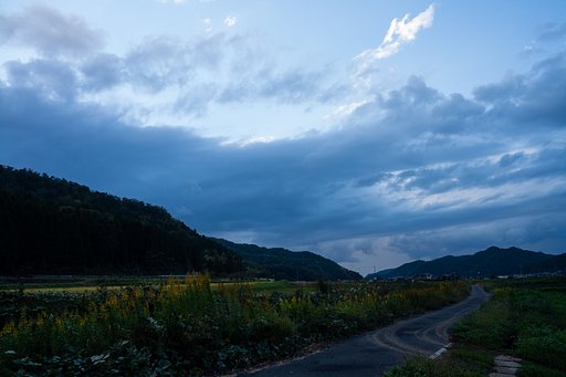 晴れ後雨・・。