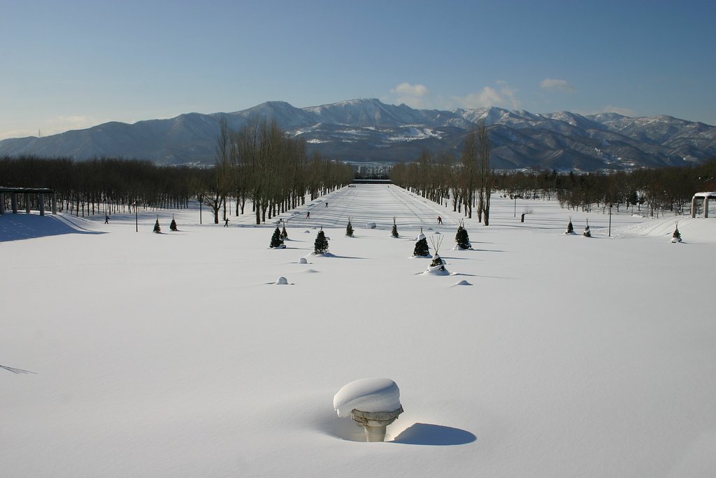 北国の公園