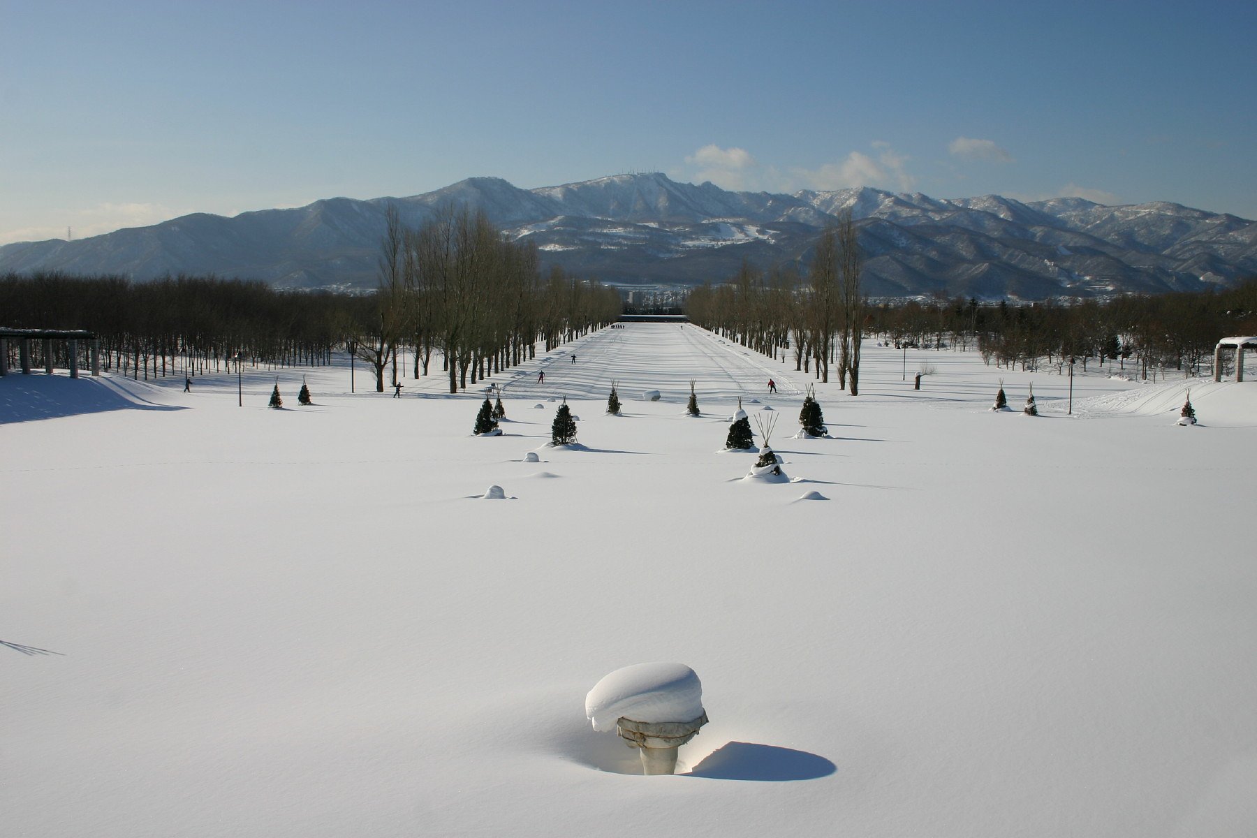 北国の公園