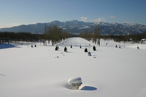 北国の公園