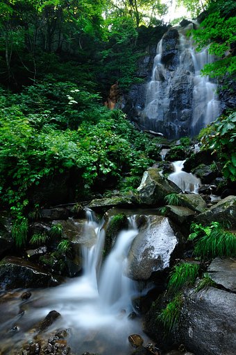 8月16日の写真