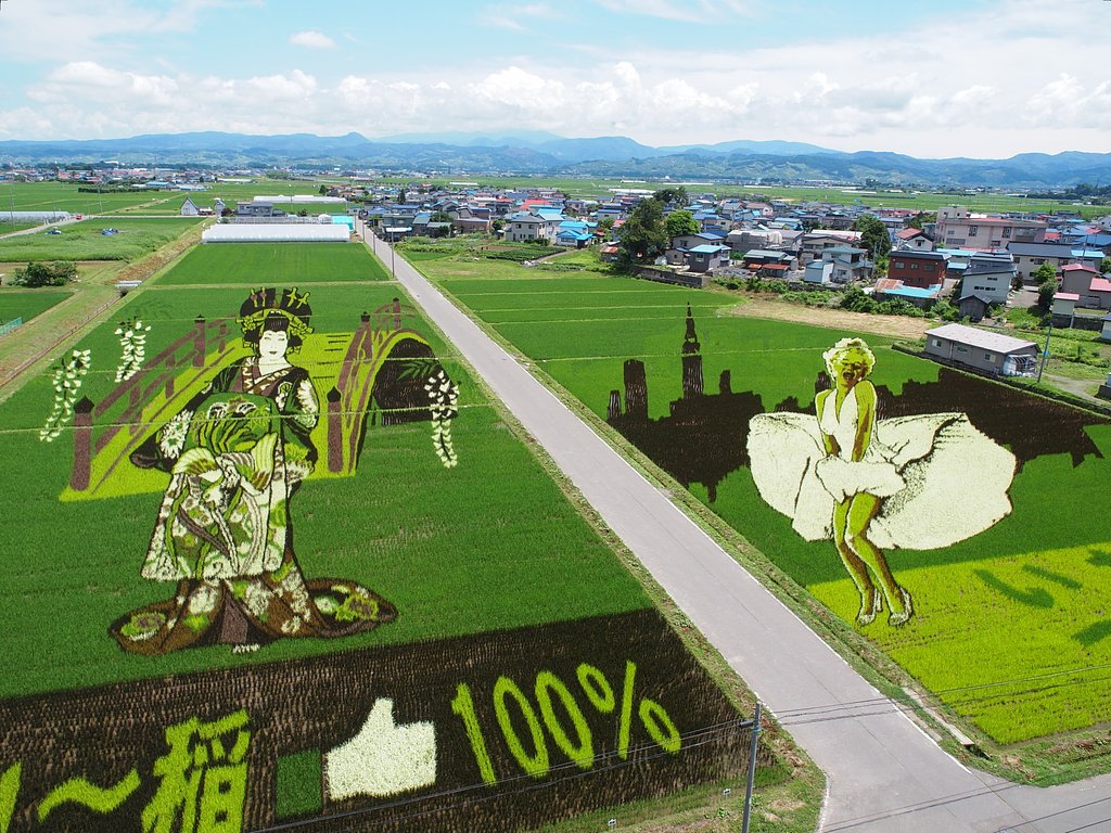 美の競艶
