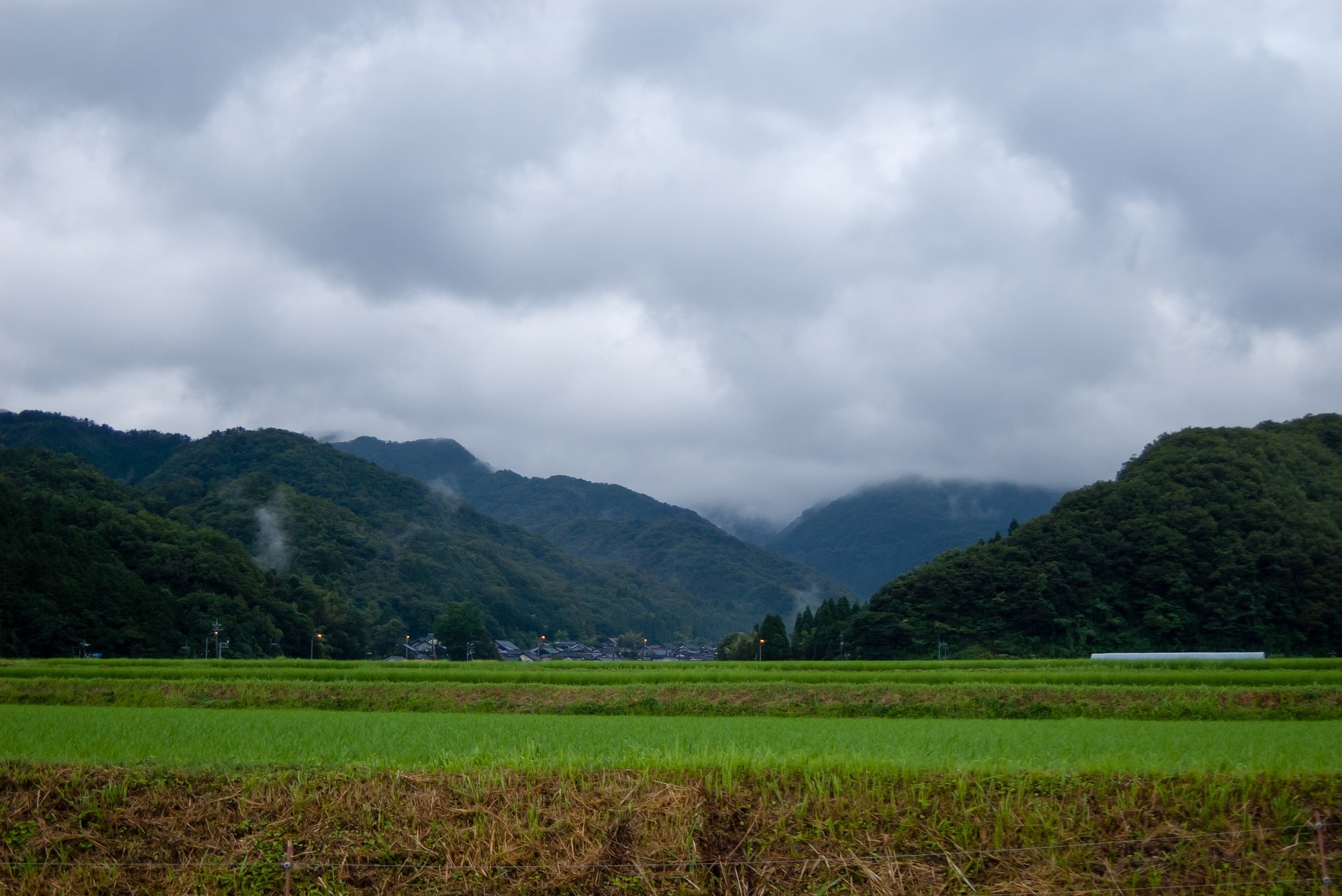 曇り空の朝。