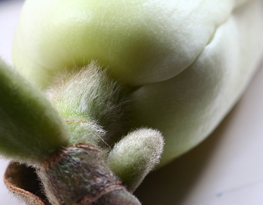 EF100mmMacro