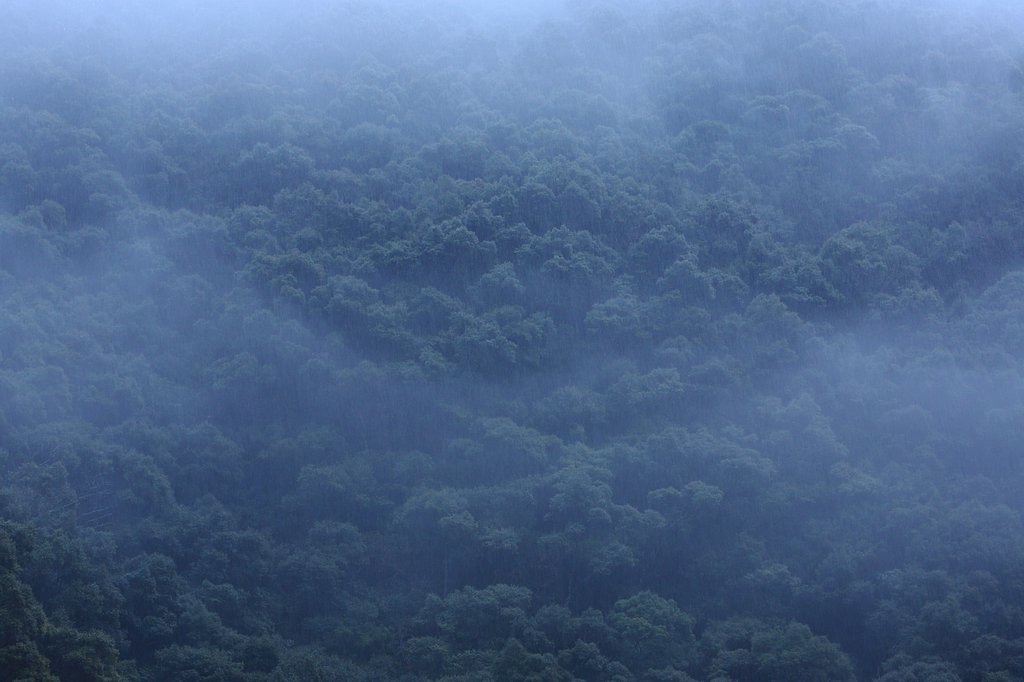 雨情・窓辺より