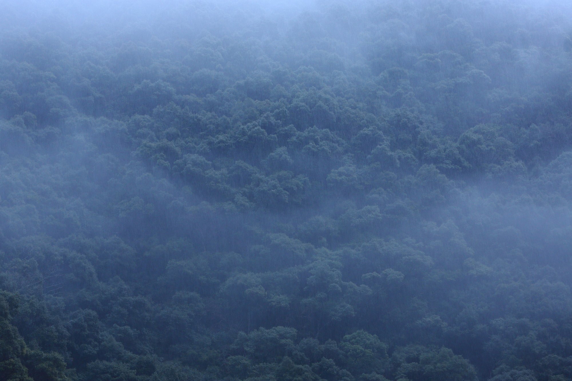 雨情・窓辺より