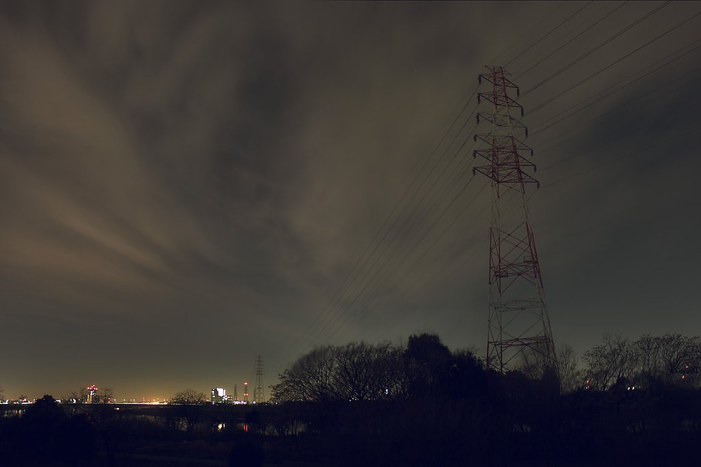 淀の夜、交差する流れ