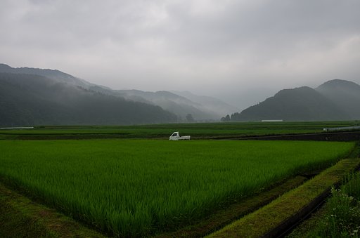 大雨降りの朝・・。