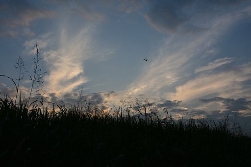 思わず空を