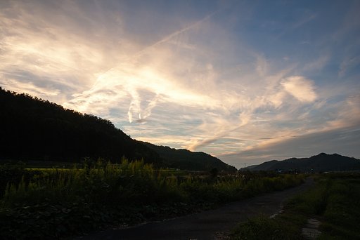 竜の様な模様夕焼け雲・・。