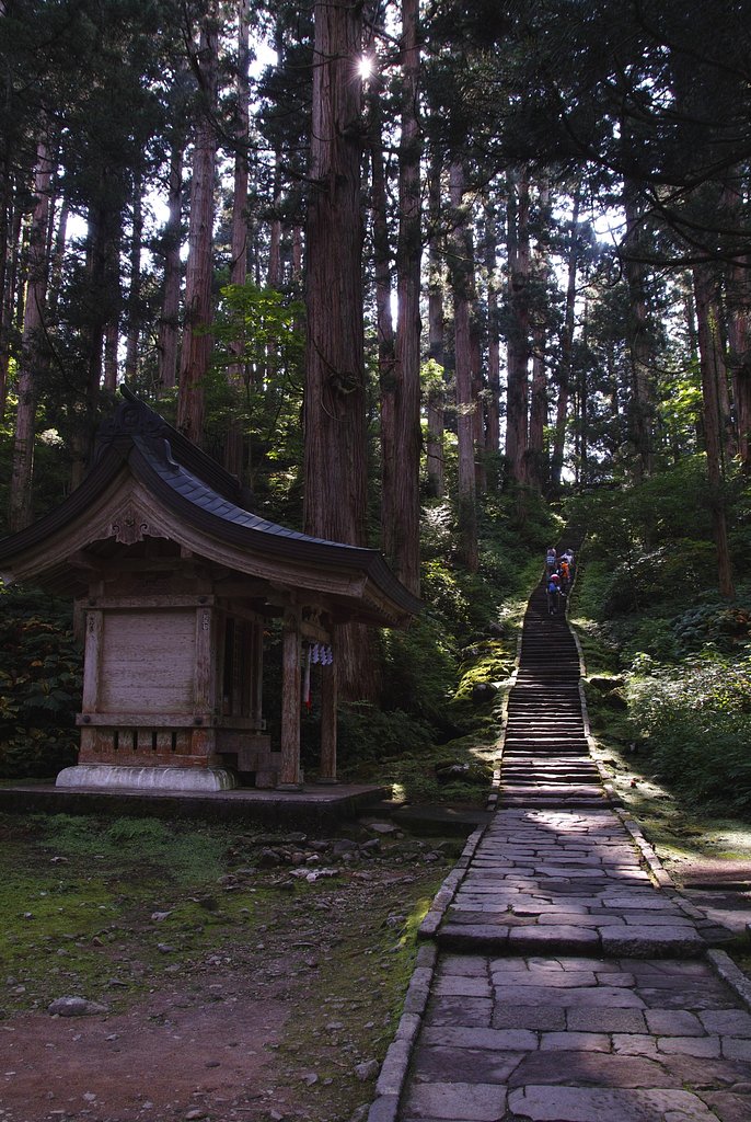 羽黒の参道
