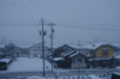 バレインタインの贈り物