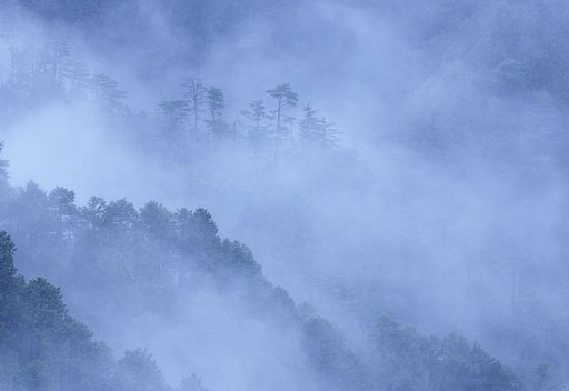 神武の歩いた道