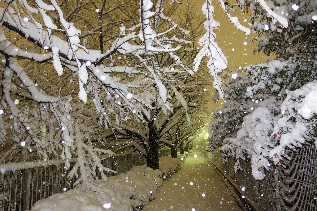 雪の帰り道