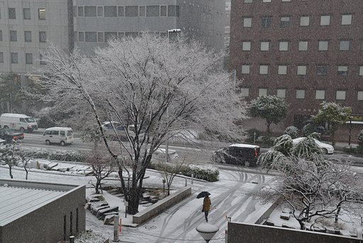 雪の朝