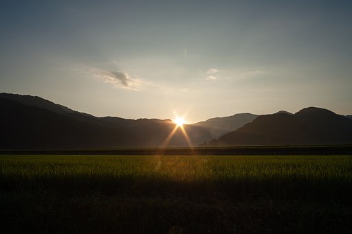 快晴の朝日の出・・。