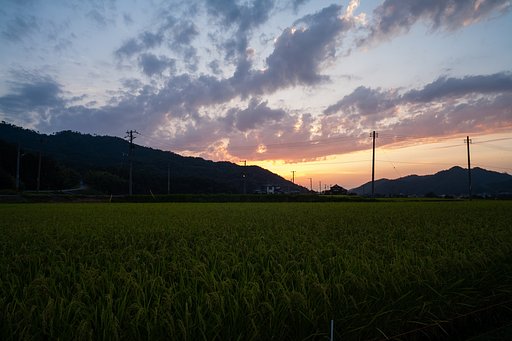 日没後に・・。
