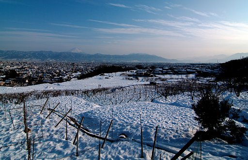 豪雪の爪痕