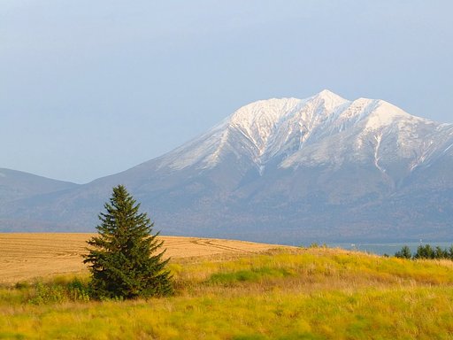 秋の風景