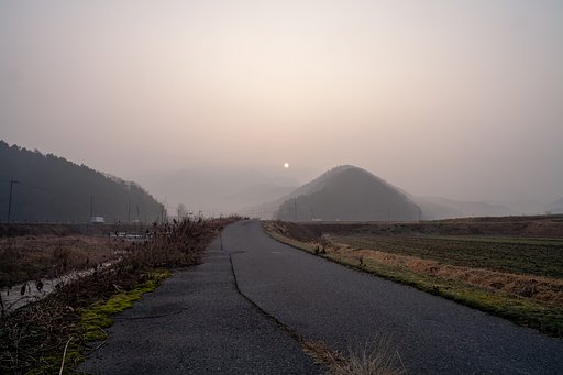 深い霧の中の朝。