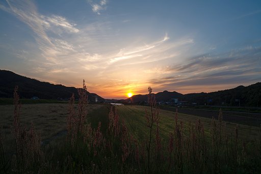 スジ雲の夕焼け。