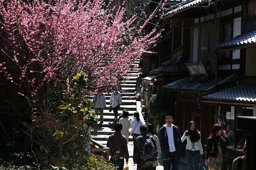 初春の日差し