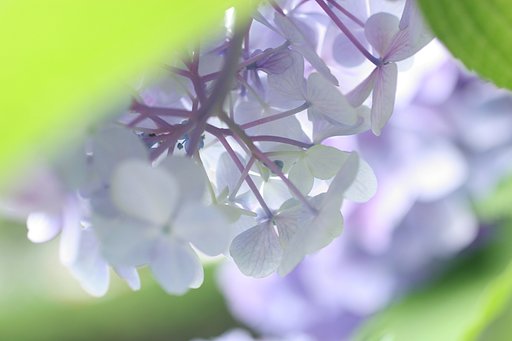 梅雨空をバックに～