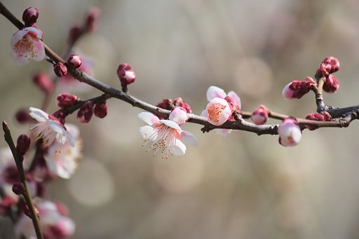 今、善き【春の予感】