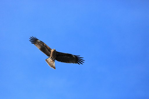 この夏空を