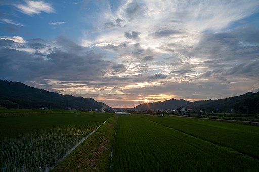 梅雨明けの夕焼？