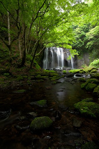 涼風