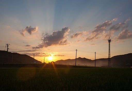夕焼 35mm。