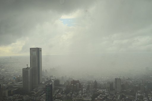 雨