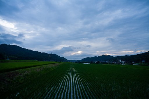 雲の隙間から太陽が・・。