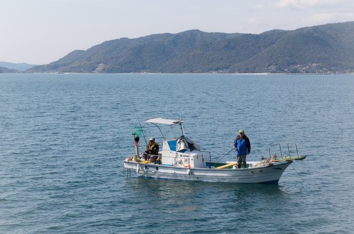 島影