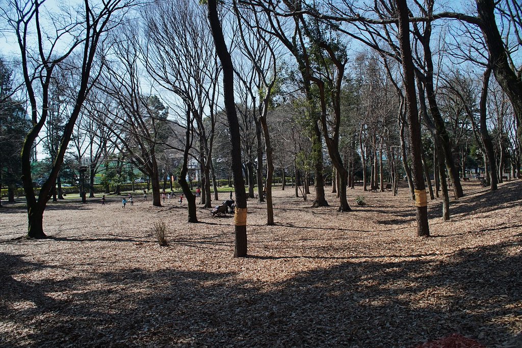 蘆花公園の日溜まりで・・・