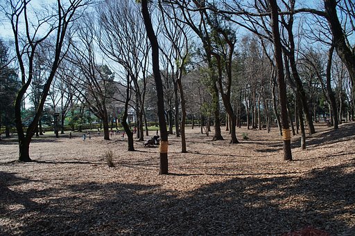 蘆花公園の日溜まりで・・・