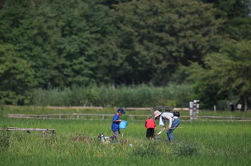 夏休み