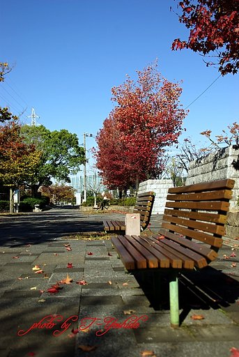 公園