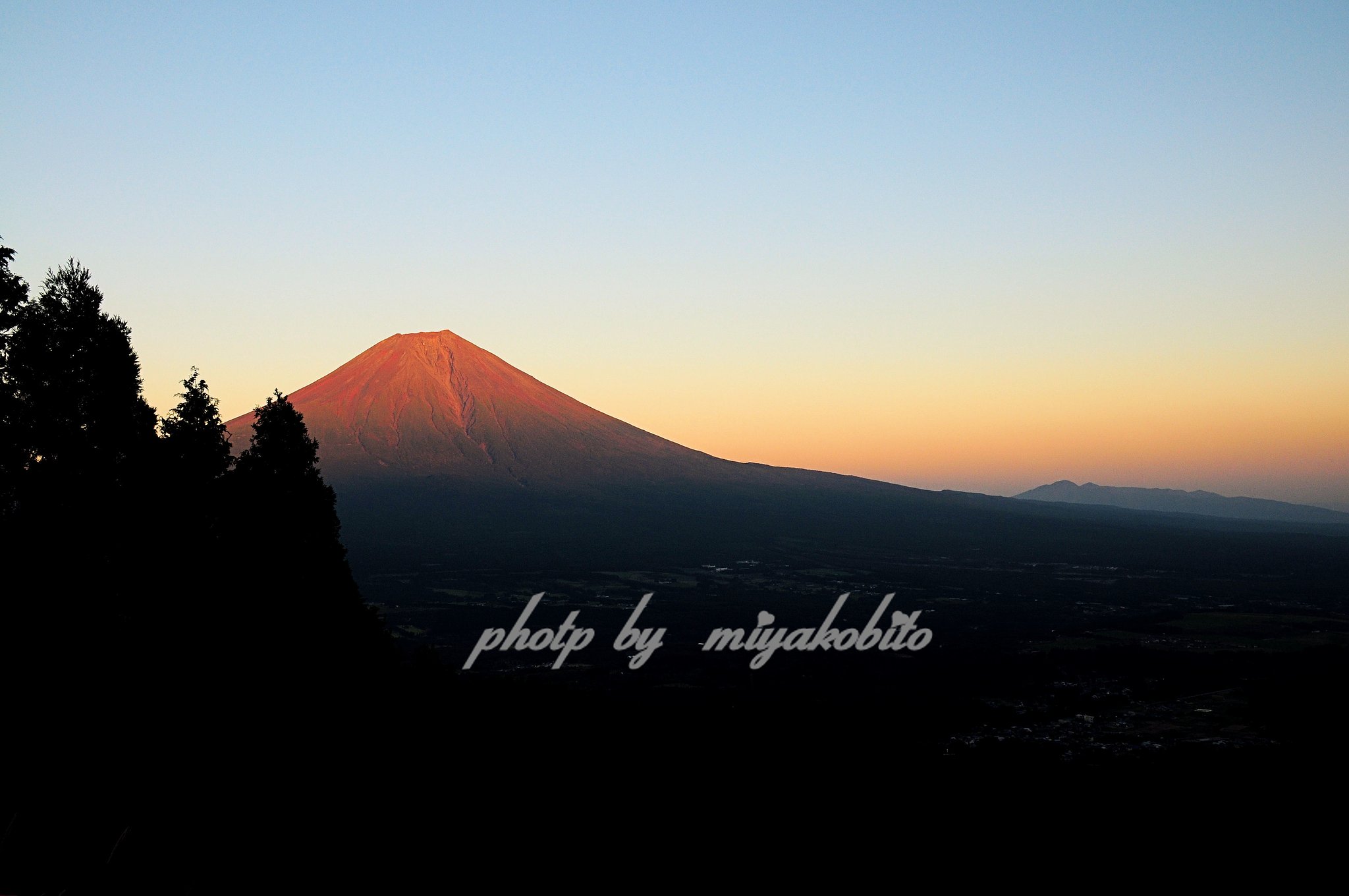 確かNikon爺さんも、、、