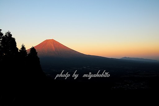 確かNikon爺さんも、、、