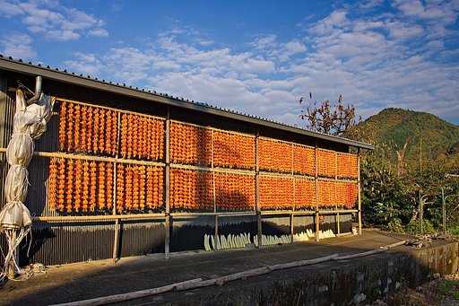 【いのち】恩恵